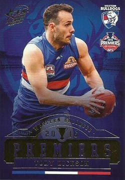 Select 2016 Premiership Collection Western Bulldogs