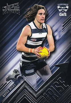 2020 Select AFL Dominance On the Rise Geelong Cats