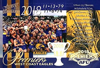 AFL/VFL Premiership ​Commemorative