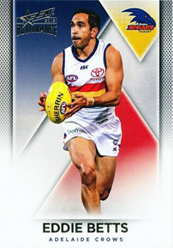 2019 Select AFL Dominance common cards