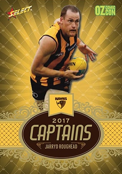 2017 Select Captain Set Hawthorn