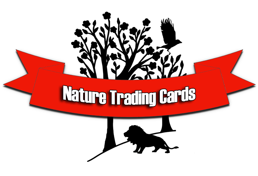 Nature Trading Cards